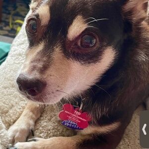 Meet your Posher, Jessica